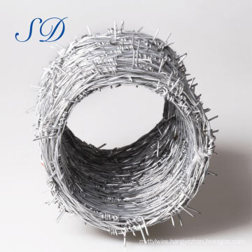 galvanized iron fence barbed wire